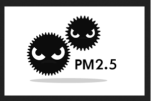 What Is PM 2.5